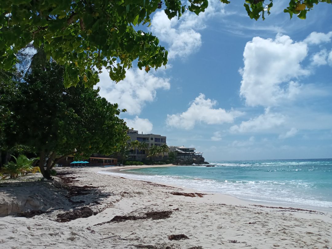 Plaža na Barbadosu – Barbados