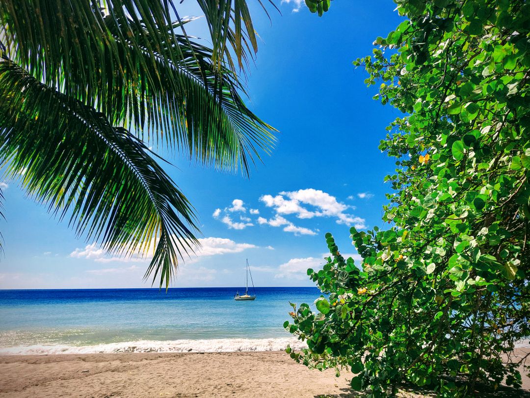 Plaža u Le Karbeu, Martinik – Martinik