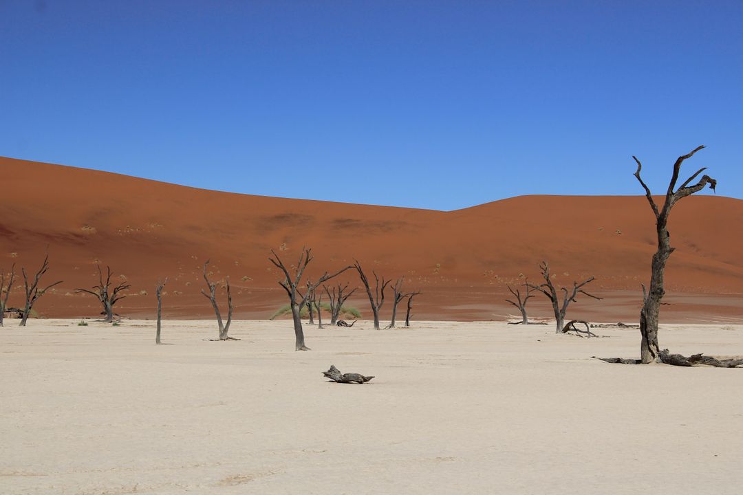 Sosusflej, pustinja Namib – Namibija