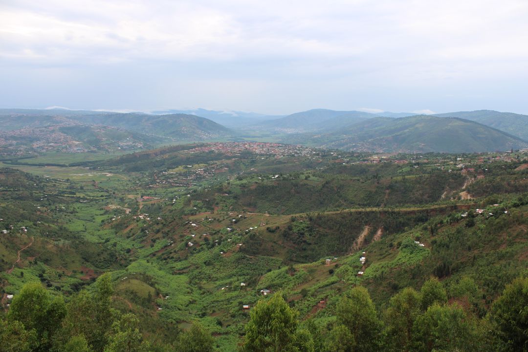 Zelena brda Ruande – Ruanda